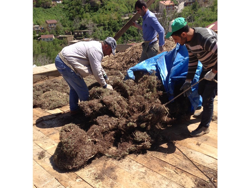 Geleneksel Bitlis Kültür Evi Restorasyonu (2013-2017)