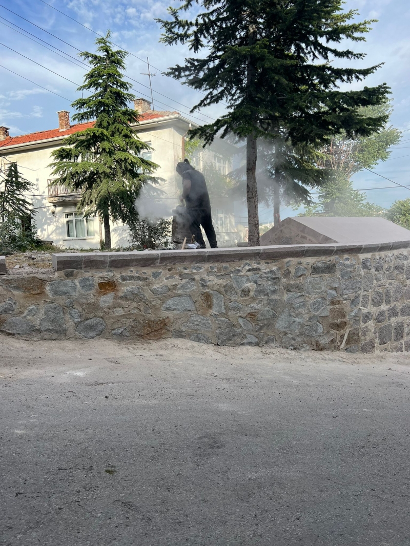 Kentsel Sit Alanı İçinde Bulunan Çeşmelerin Restorasyonu